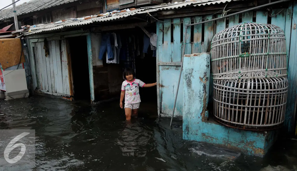 Soerang anak berdiri di dekat rumahnya yang tergenang banjir di Kawasan Muara Angke, Jakarta, Rabu (11/1). Banjir ini juga telah merendam ratusan rumah, toko, dan tempat pengeringan ikan asin. (Liputan6.com/Gempur M. Surya)