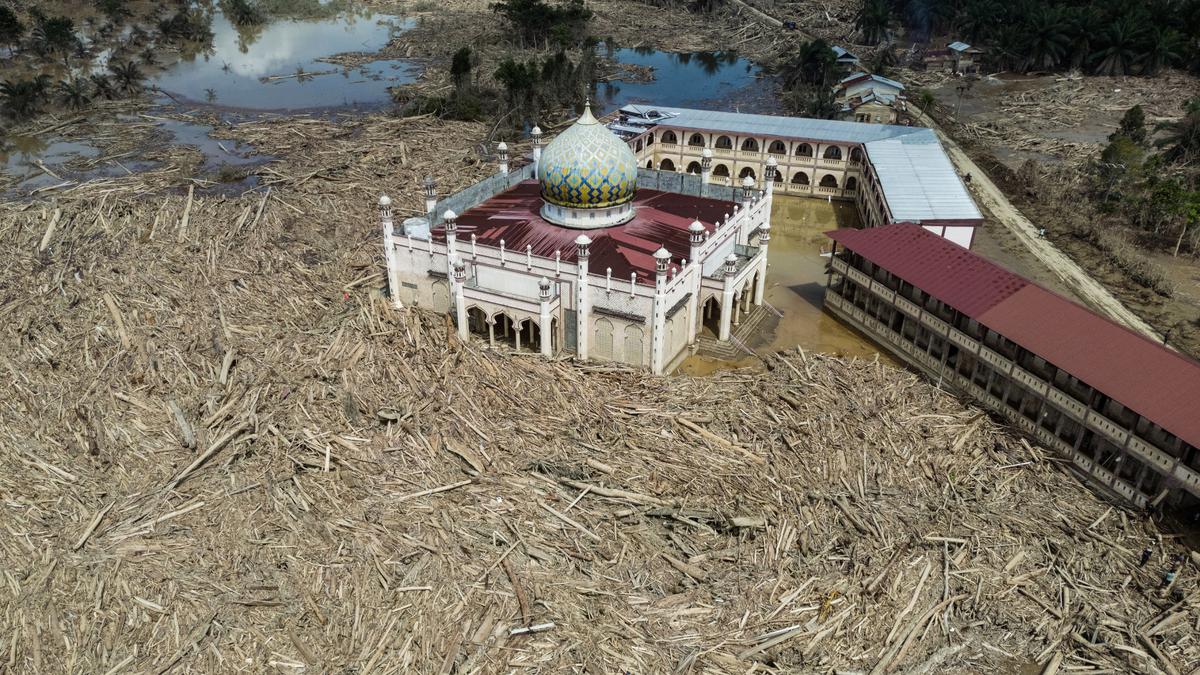 Masjid di Aceh Tamiang Terkepung Kayu Gelondongan, Potret Pilu Banjir Bandang dan Dampak Deforestasi
