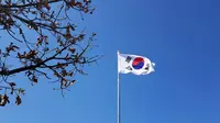 Nasib Mengenaskan Pekerja Dapur Sekolah Pembuat Makan Siang Gratis di Korea Selatan