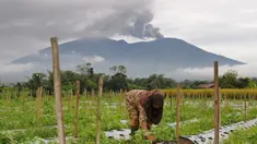 Seorang wanita bekerja berlatar Gunung Marapi yang masih memuntahkan material vulkanik di Agam, Sumatra Barat, Senin, 4 Desember 2023. (AP Photo/Ardhy Fernando)