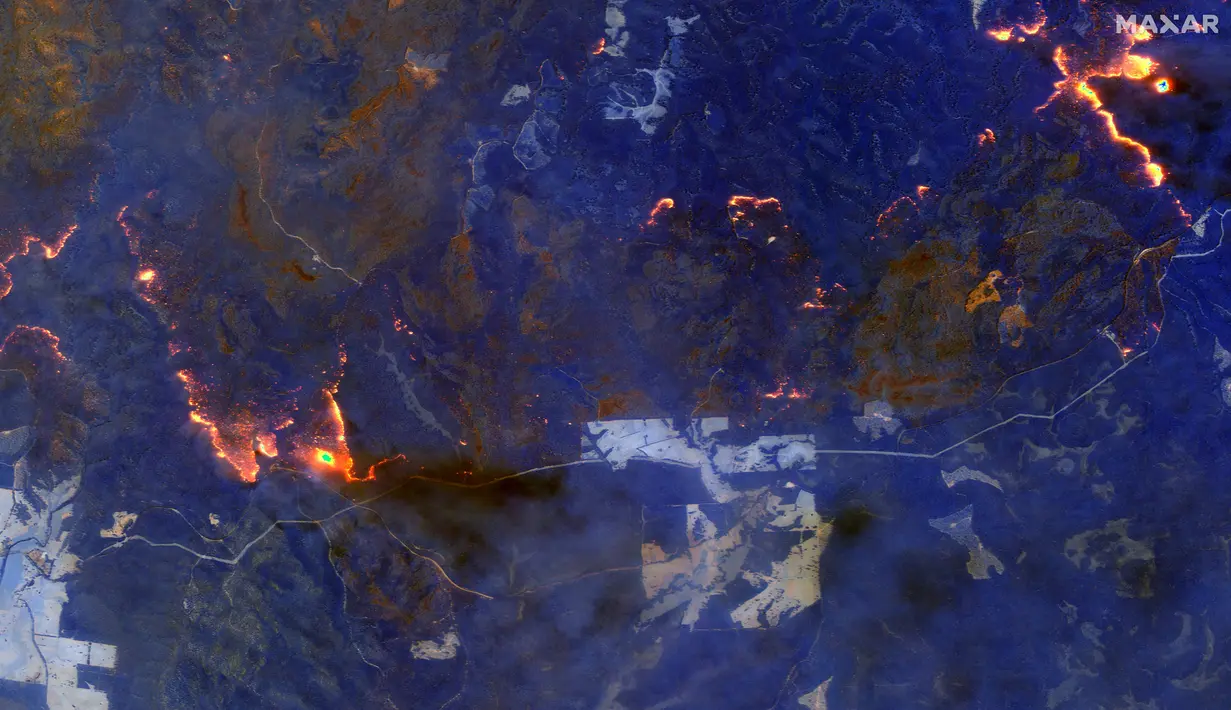 Citra satelit dengan gelombang pendek inframerah menunjukkan kebakaran hutan di sebelah timur Orbost, Australia pada Sabtu (4/1/2020). Langit berubah menjadi hitam dan abu turun saat api berkobar di seluruh Australia bagian tenggara. (HO / Satellite image ©2020 Maxar Technologies / AFP)