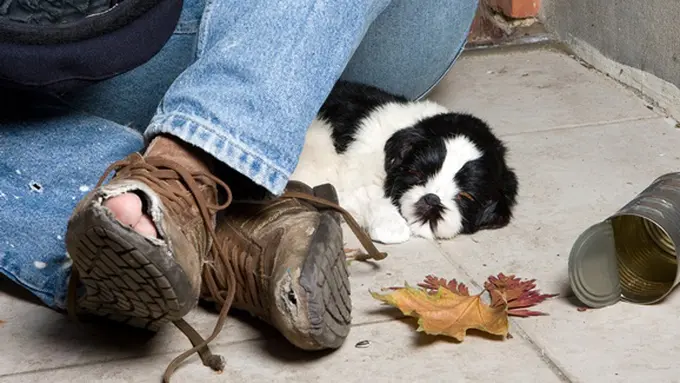 Photo copyright Shutterstock.com