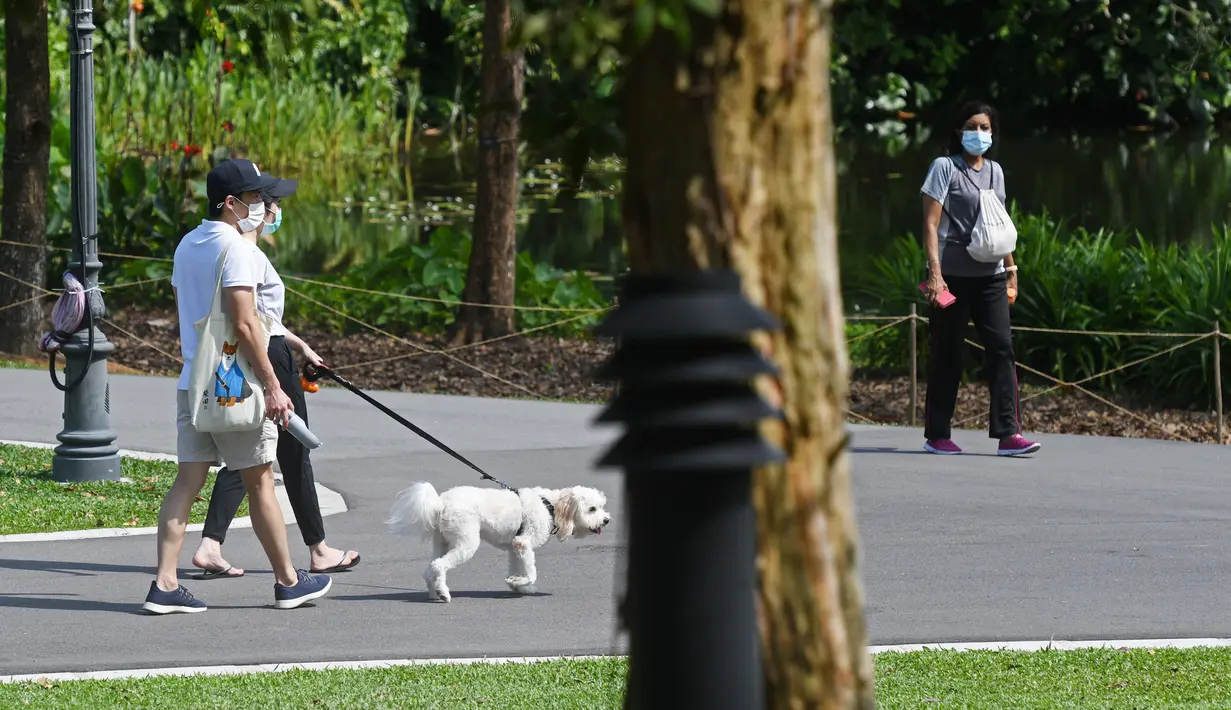 Orang-orang mengenakan masker saat berjalan-jalan di Singapore Botanic Gardens, Singapura, pada 18 November 2020. (Xinhua/Then Chih Wey)