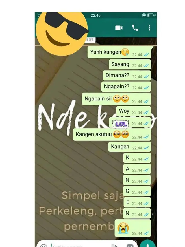 6 Chat Kangen Gebetan Tapi Dicuekin Ini Bikin Senyum Tipis