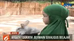 Jika anda penasaran melihat hewan-hewan pintar ini beraksi setiap harinya, pengunjung juga dihibur dengan Animal Show.