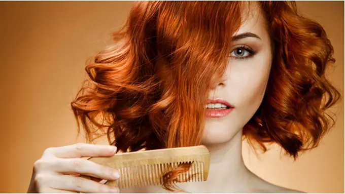 Courtesy ShutterStock.com