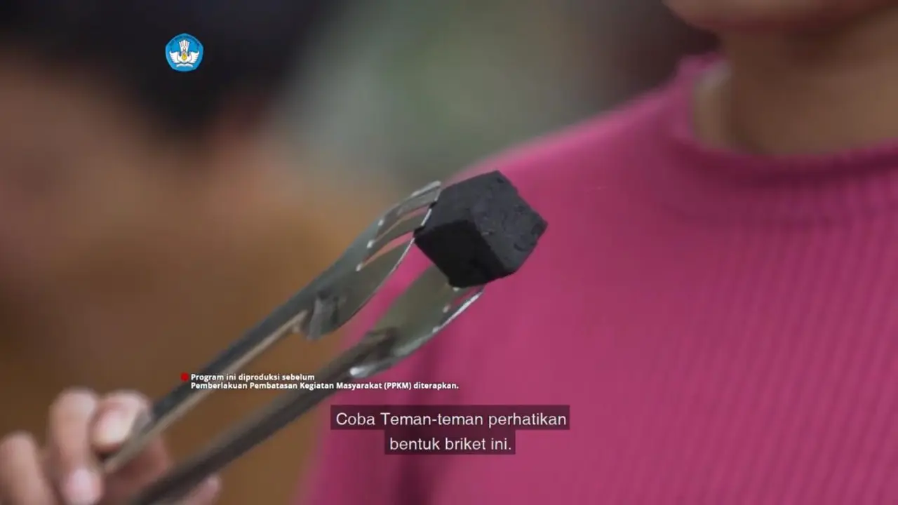 Briket Adalah Bahan Bakar Padat dari Limbah, Ketahui Definisi dan Manfaatnya