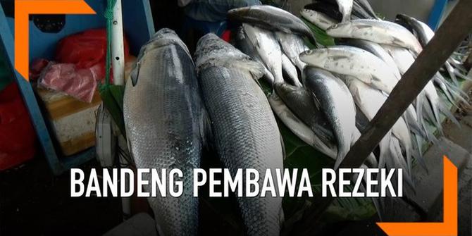 VIDEO: Jelang Imlek Pedagang Ikan Bandeng Kebanjiran Rezeki