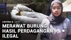 Ternyata, tidak cuma manusia yang butuh rumah sakit. Burung-burung yang direhabilitasi di Taman Hutan Raya (Tahura) Wan Abdul Rachman, Bandar Lampung, juga mendapat pelayanan di rumah sakit burung. Burung yang dirawat adalah burung-burung hasil sitaa...