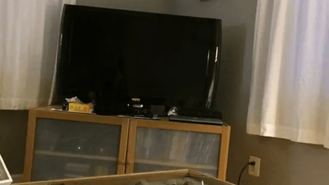 Temukan kucing bersembunyi di dalam foto ini.