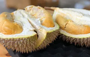 Arti Warna Duri pada Kulit Durian, Penanda Matang atau Varietas?