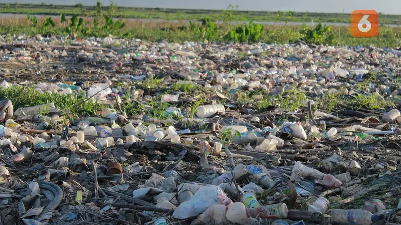 Sampah Plastik danau