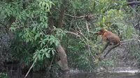 Inovasi Bupati Bantaeng dan Banyuwangi Percepat Pembangunan