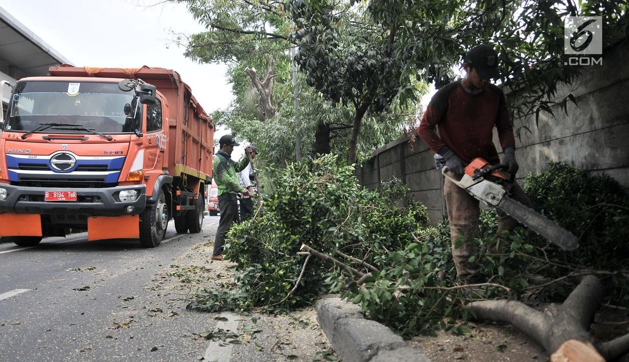 FOTO Antisipasi Tumbang Dinas Kehutanan Jakarta Timur 