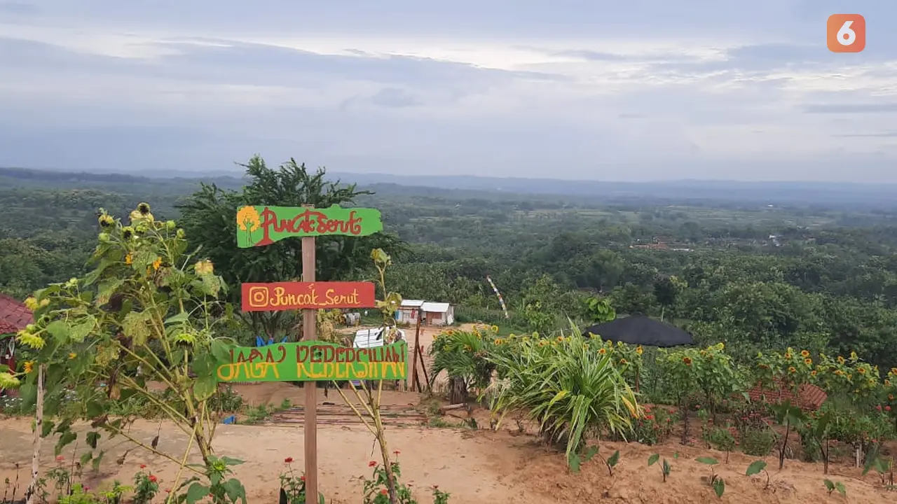 Wisata alam bukit serut di Desa Singonegoro, Kecamatan Jiken, Kabupaten Blora. (Liputan6.com/Ahmad Adirin)
