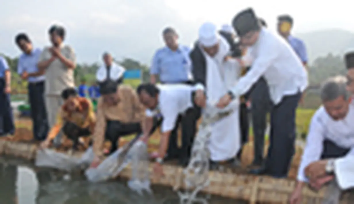 liputan6