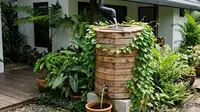 Ide Drum Plastik Bekas Jadi Bak Penampung Air Hujan, Solusi Hemat Air Bersih