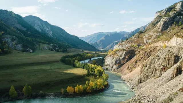 Altay