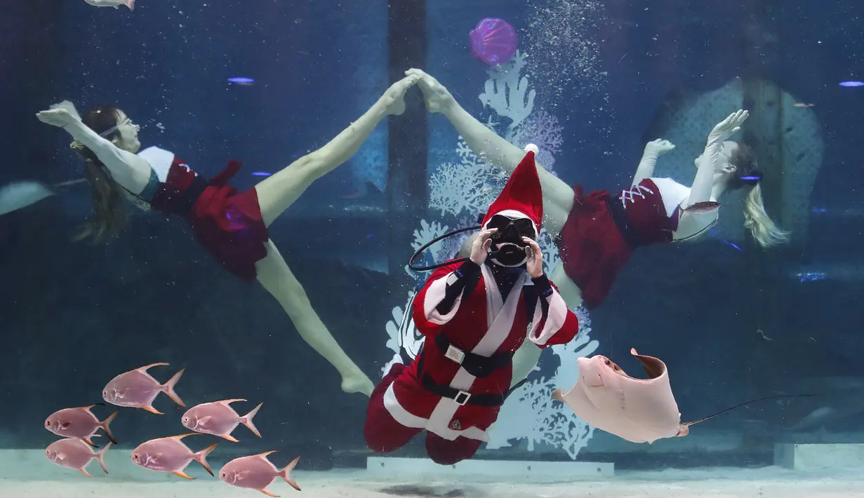 Penyelam mengenakan pakaian Sinterklas bersama dua wanita beraksi di Coex Aquarium, Seoul, Korea Selatan (4/12/2019). Sinterklas bersama ribuan ikan yang berada di akuarium tersebut menarik perhatian para pengunjung akuarium. (AP Photo/Ahn Young-joon)