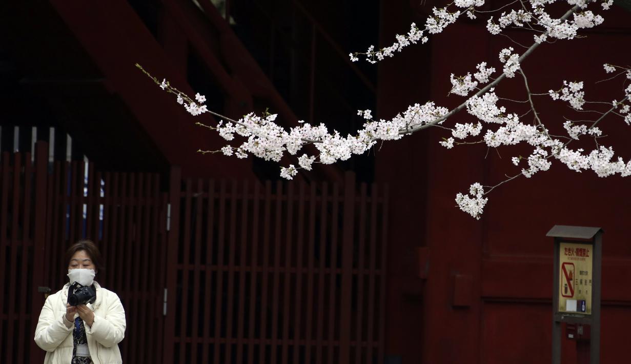 Seorang wanita mengenakan masker menikmati melihat bunga sakura mekar penuh di Kuil Zojoji, Tokyo, Jepang, Selasa (29/3/2022). (AP Photo/Koji Sasahara)