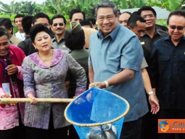 Berita Kabupaten Muaro Jambi Hari Ini Kabar Terbaru Terkini Liputan6 Com