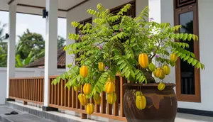 16 Jenis Pohon Buah yang Bisa Dibuat Pendek tetapi Tetap Berbuah Lebat di Pekarangan