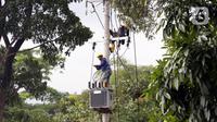 Tim UPT PLN melakukan upaya penyambungan kembali kabel listrik yang putus akibat gempa Cianjur di kawasan Cugenang, Kabupaten Cianjur, Jawa Barat, Selasa (22/11/2022). PLN terus mengupayakan penyambungan kabel listrik yang putus akibat gempa Cianjur. (Liputan6.com/Helmi Fithriansyah)