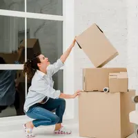 Ilustrasi Wanita Pindah Rumah Sendirian / by freepik