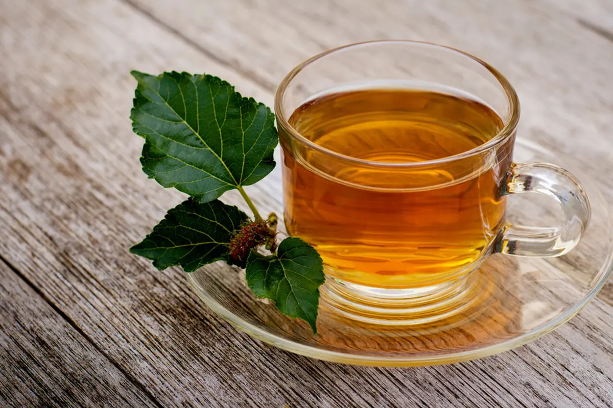 air rebusan daun murbei mulberry