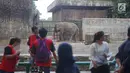Wisatawan mengamati gajah saat berlibur di Taman Margasatwa Ragunan (TMR), Jakarta, Kamis (6/6/2019). Setidaknya sebanyak 49.394 warga Ibu Kota dan sekitarnya mengisi libur Lebaran bersama keluarga dengan mengunjungi destinasi liburan murah meriah tersebut. (Liputan6.com/Immanuel Antonius)