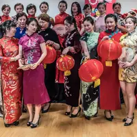 chinesenewyear.net