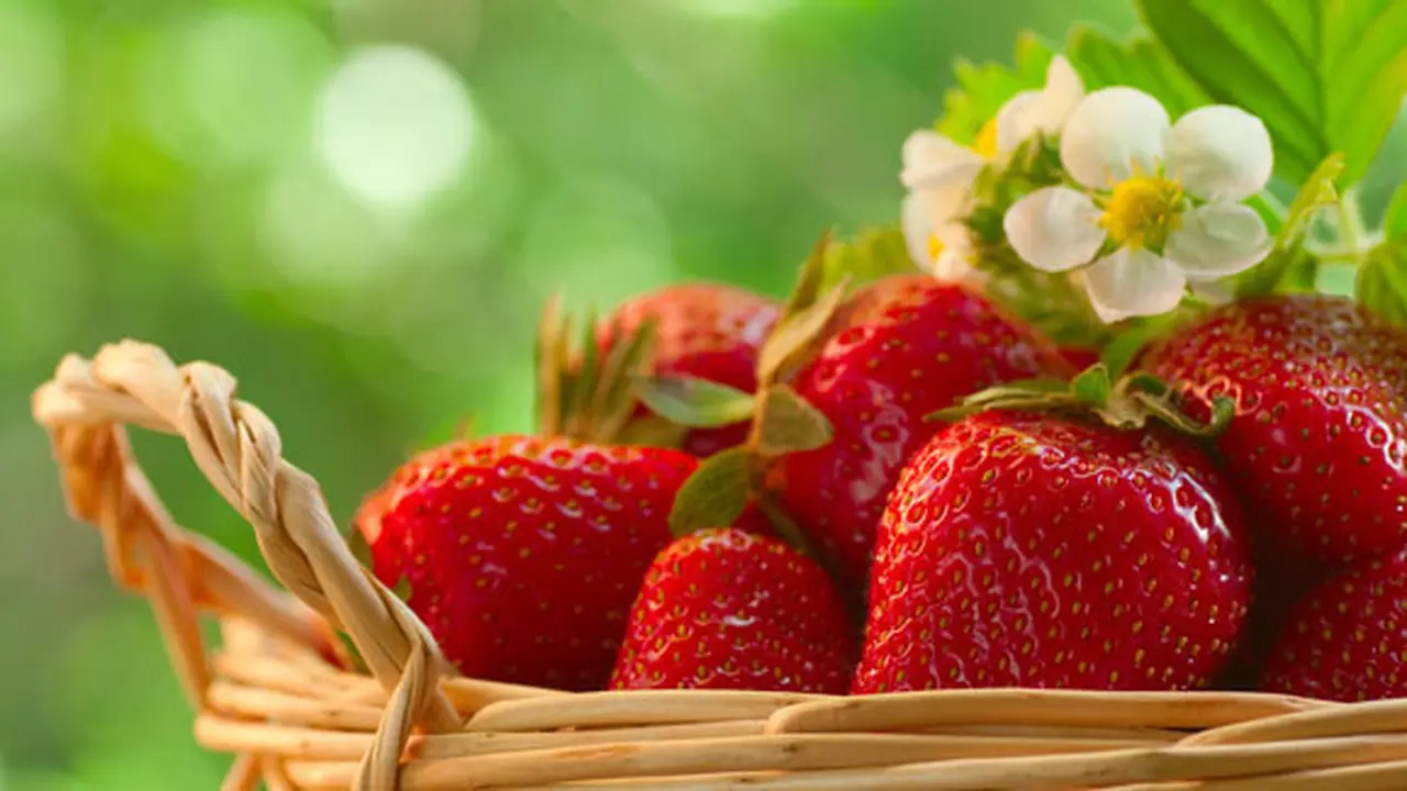 (c) shutterstock