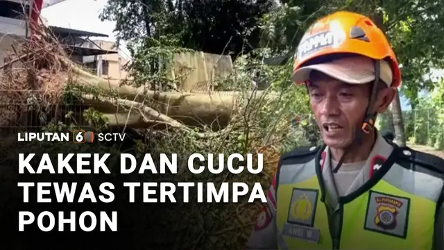 Kakek dan Cucu Tewas Tertimpa Pohon