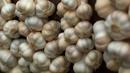 Bawang putih adalah antibiotik alami yang dapat menurunkan pengaruh infeksi serta bau tidak sedap pada vagina. Caranya makan bawang putih pada saat perut masih kosong dengan segelas air hangat. (huffingtonpost.com)