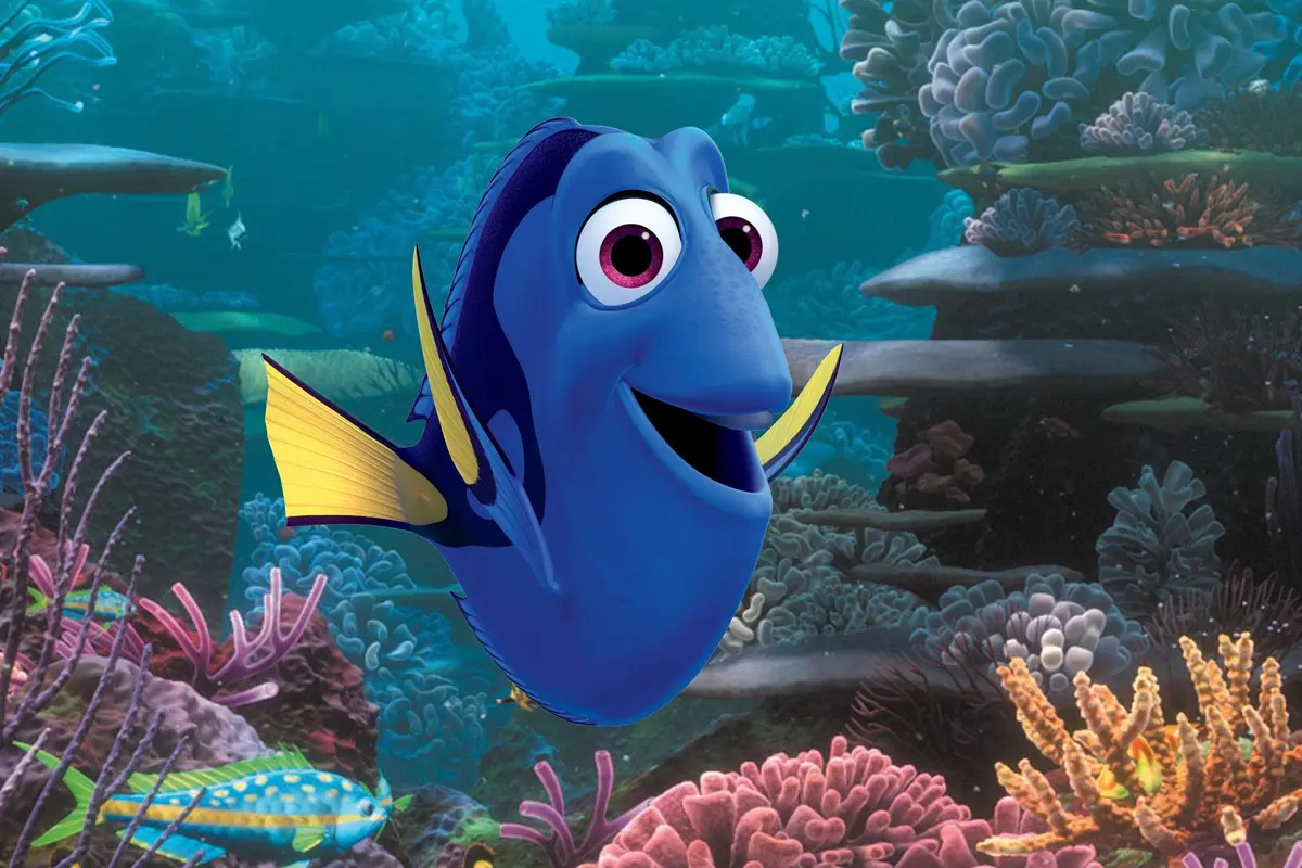 Finding Dory