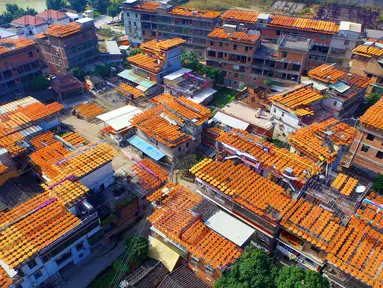 Pandangan udara atap pemukiman warga yang dipenuhi jemuran buah kesemek di Desa Anxi, Fujian, selatan China, 13 Desember 2016. Sejumlah warga memanfaatkan atap rumah mereka untuk mengeringkan kesemek yang akan dijadikan manisan. (REUTERS/Stringer)