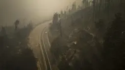 Sebuah mobil melewati pepohonan yang hancur akibat kebakaran hutan di Santa Juana, Chili, Minggu (5/2/2023). Kebakaran yang meluas itu juga dilaporkan menyebabkan sedikitnya 979 orang terluka dan lebih dari 1.100 orang emngungsi ke tempat penampungan, menurut keretrangan resmi, Sabtu. (AP Photo/Matias Delacroix)