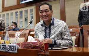 Eks Mendag Kritik Singapura soal Kabut Asap, Ada Kepentingan Terselubung