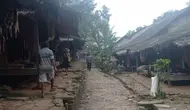 Babi Hutan dan Monyet Teror Ladang Petani Badui