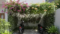 10 Tanaman Rambat yang Bisa Jadi Peneduh Motor di Garasi Rumah, Rimbun & Tahan Panas