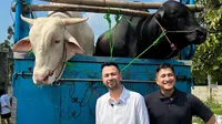 7 Artis Kurban Sapi di Idul Adha 2025, Raffi Ahmad hingga Ruben Onsu