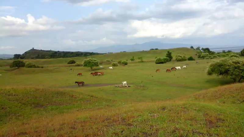 Sumbawa, dari Eloknya Alam sampai Budayanya Mempesona