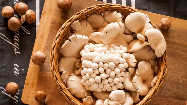 Ilustrasi jamur tiram