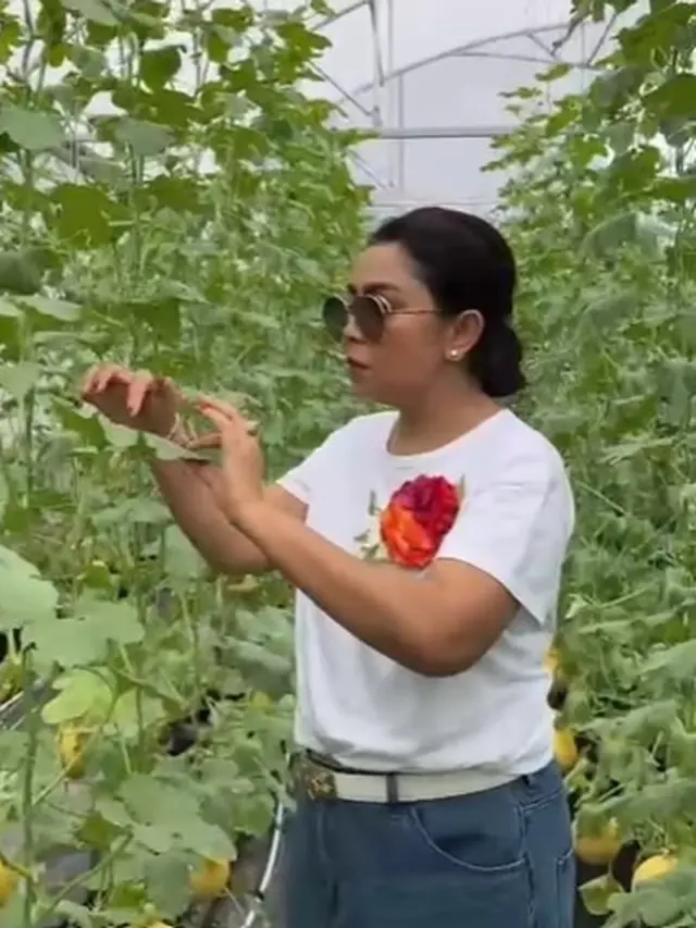 Mayangsari di kebun melon (Instagram/mayangsari_official)