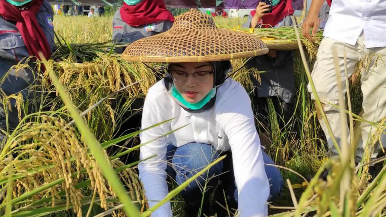 Kementerian Pertanian