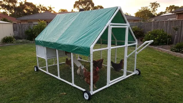 Ilustrasi Kandang Ayam Rangka Pipa PVC Ringan dan Portable/Gemini AI