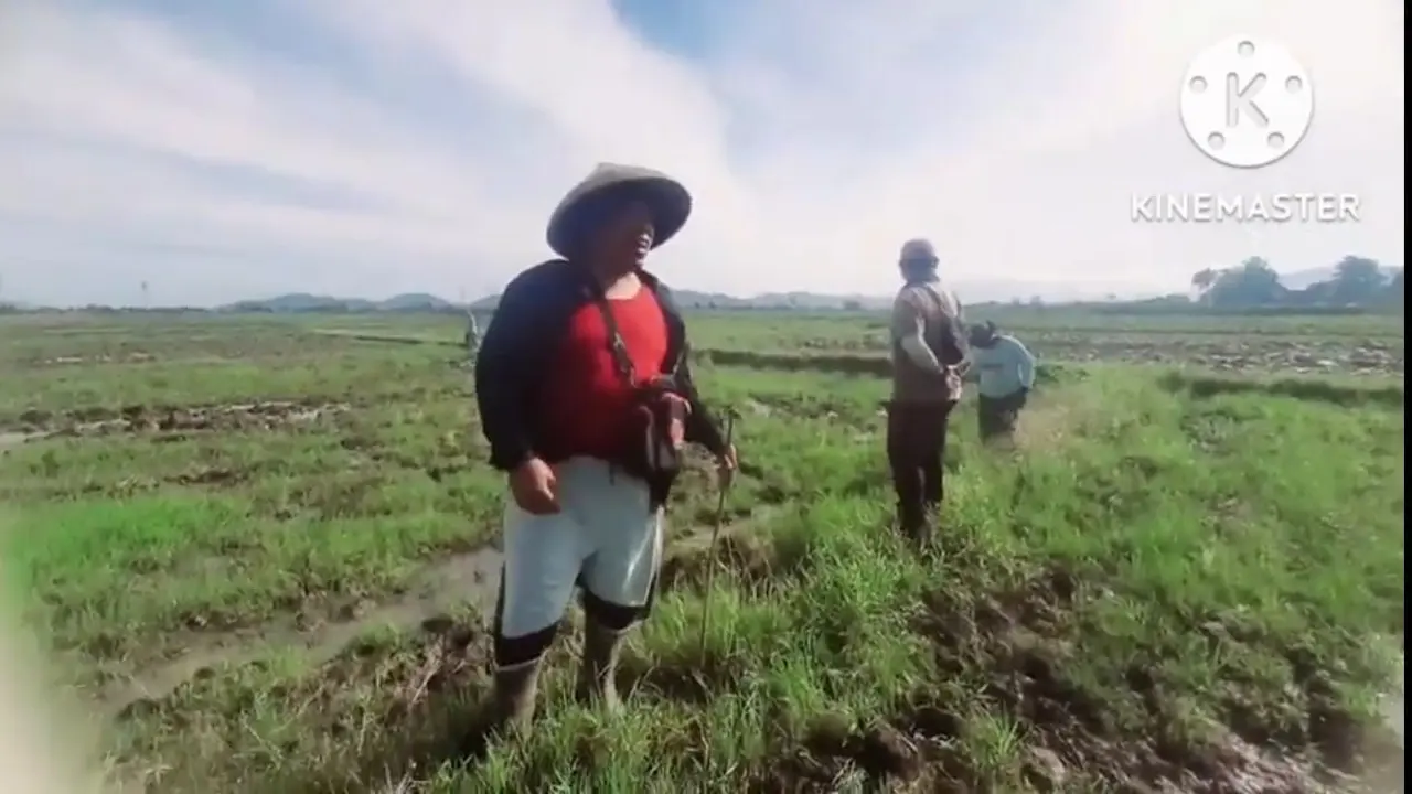 Penelitian Petani di Cianjur