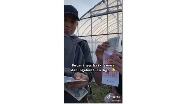 Kerja Paruh Waktu Jadi Petani di Jepang, Mahasiswa Ini Dapat Gaji Rp 1,3 Juta per 8 Jam
