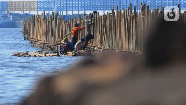 Turap bambu di kawasan Pelabuhan Marunda