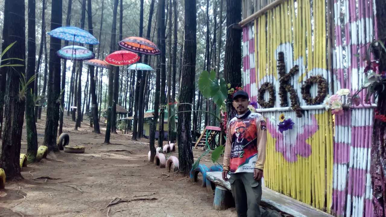 Kawasan pinus hutan Oko sangat asri dan sejuk untuk dinikmati para pengunjung yang datang